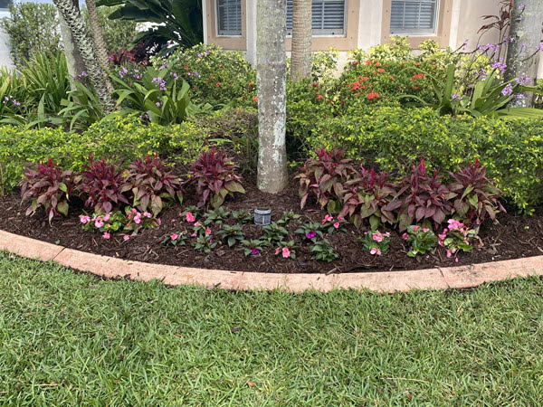 Pembroke Pines lawn care and maintenance services