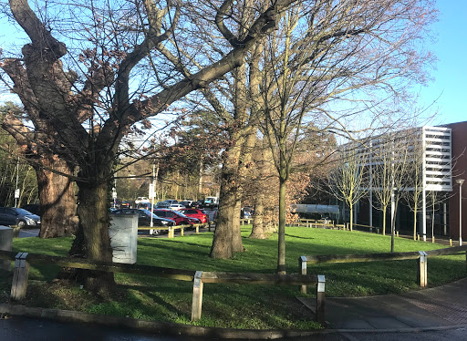 Sidcup Leisure Centre - Thumbnail