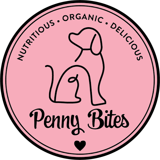 Penny Bites - Visual