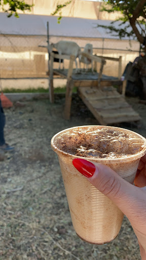 Pajaretes Rancho El Lago