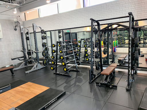 LifenFitness Seventeen