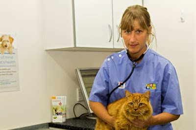 Photos of Petvet Silverstream