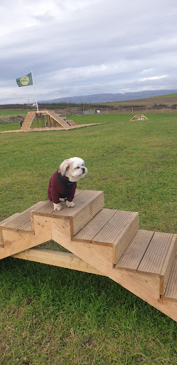 Unleash the Dogs - Hillington Dog Fields - Thumbnail