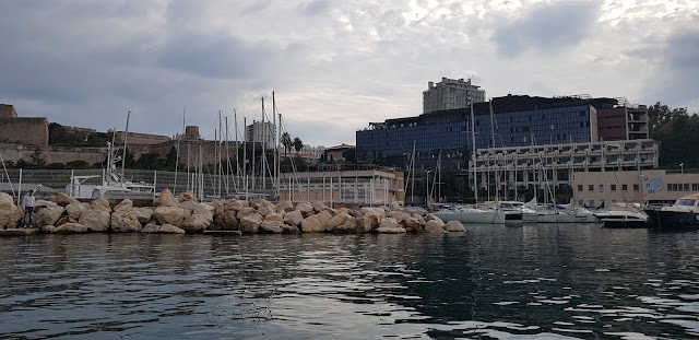 Rowing Club Marseille ( association sportive)