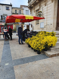 Photo n°10 de Les Fleurs Du Peras à Mauguio (Fleuriste grossiste)