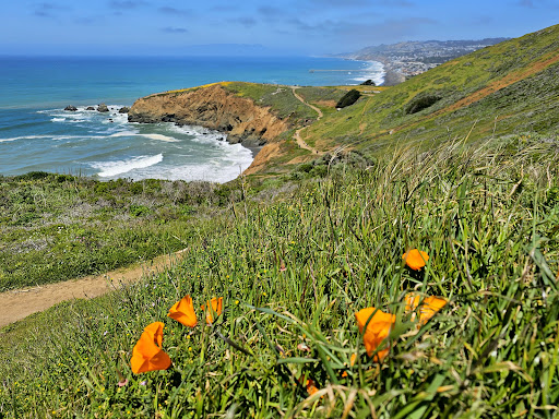 Mori Point - Thumbnail
