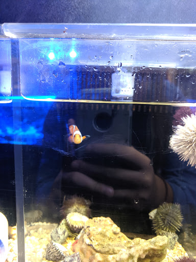 Aquatic Evolution LLC - Visual