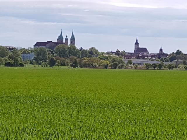 Cathédrale de Naumbourg