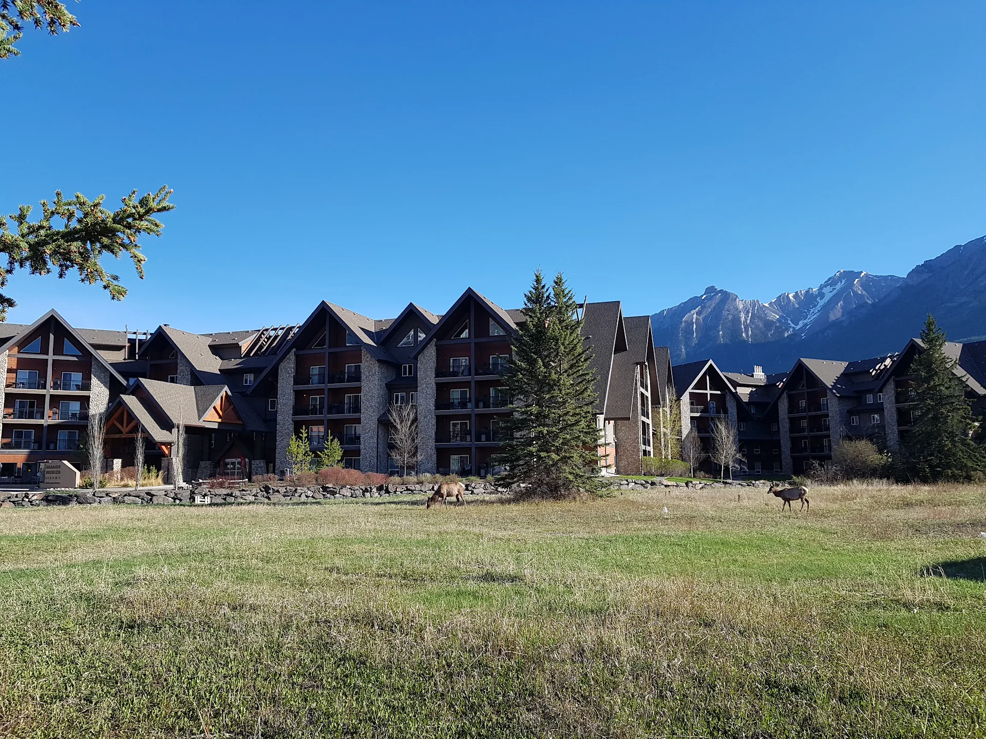 Sunset Resorts Canmore