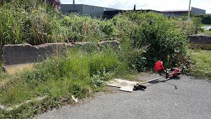 Photo n°4 de Passy-Flore & Service à Égreville (Jardinier)