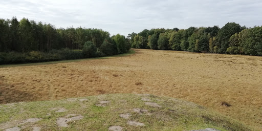 Panzerberg Wentorfer Lohe - Thumbnail