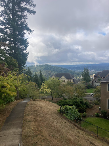 Happy Valley Stairs - Top of Stairs - Thumbnail