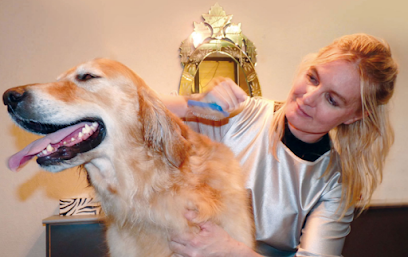 Mobile Dog Grooming of Simi Valley Thousand Oaks