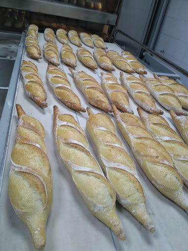 Pasta and bread - Thumbnail