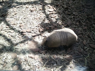 Small Mammal House