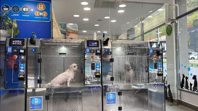 Carrer de la Vinya, 2, AD500 Andorra la Vella