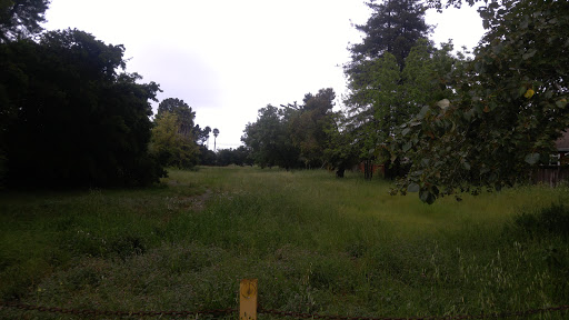 Capitola Rd & 17th Ave (Live Oak Senior Ctr)