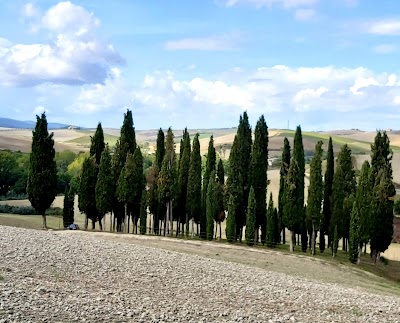 Strada dei Cipressi (SP 88)