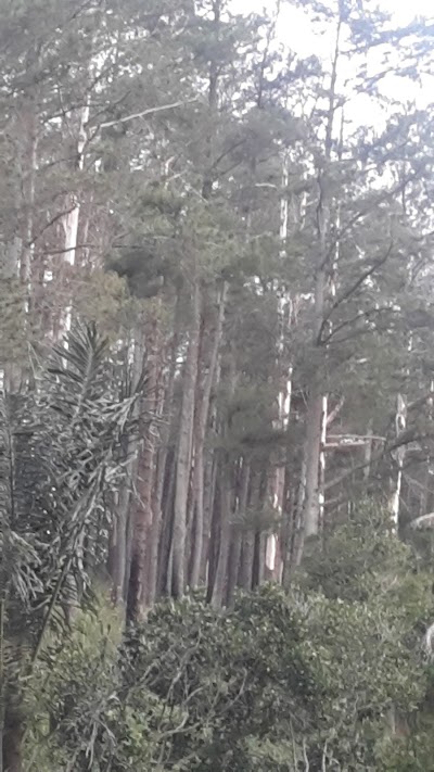 Photos of Villa Detik