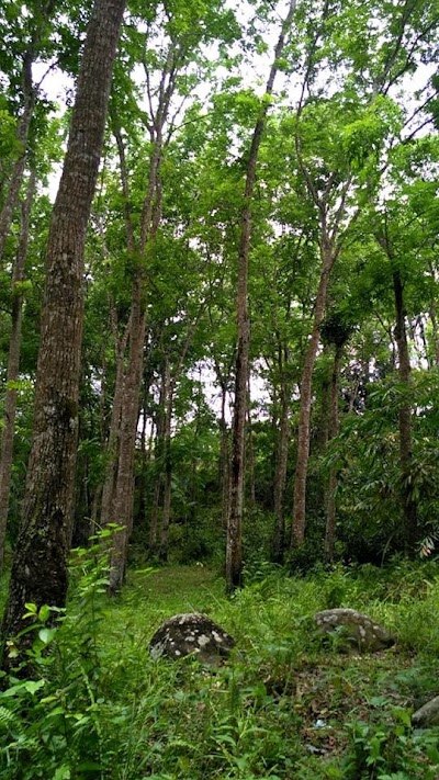 Photos of Embung Bual Aik Bual