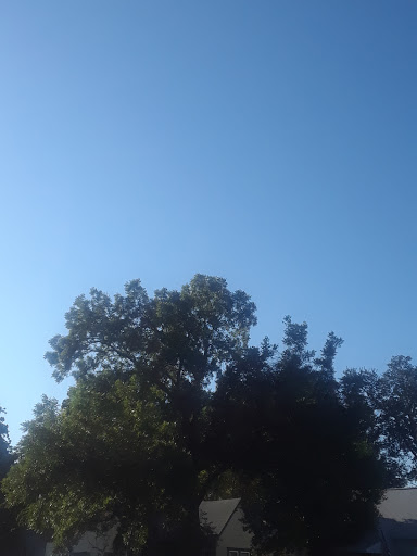Parrish Road Park - Visual