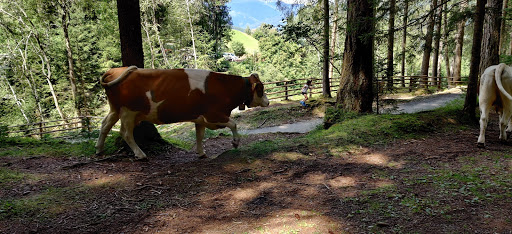 Mulino di Valdaora - Thumbnail