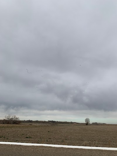 Roswell Marsh Wildlife Habitat Area