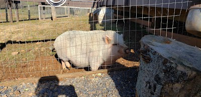 Lakota Ranch Farm Store