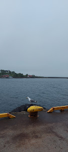 TD På Kaia AS photo