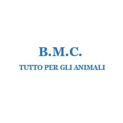 B.M.C. S.r.l. - Thumbnail