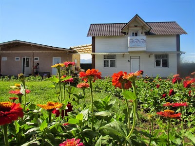 Photos of Happy Nomads Village