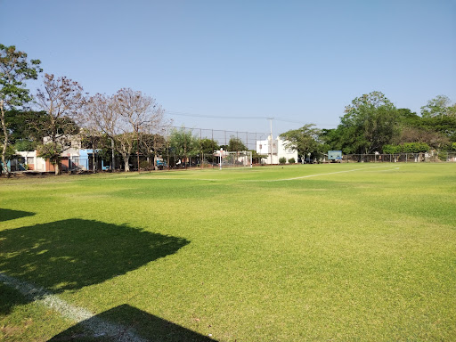 Campos Deportivos Domingo Sabio Logo