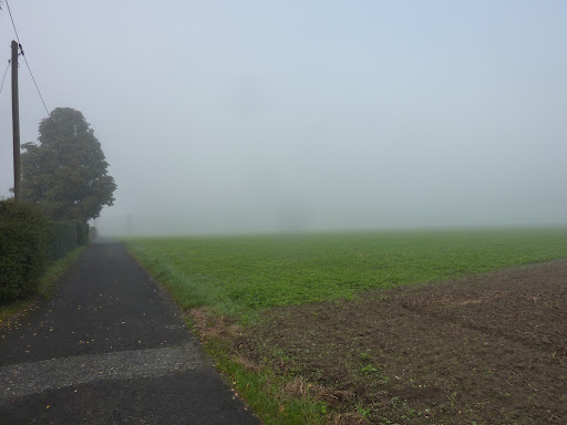 Kappesgärten - Visual
