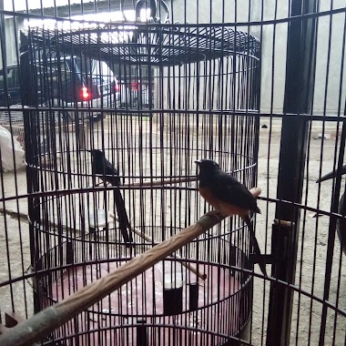 Kios Burung Pakde WARSITO, Author: Prida Nuryani