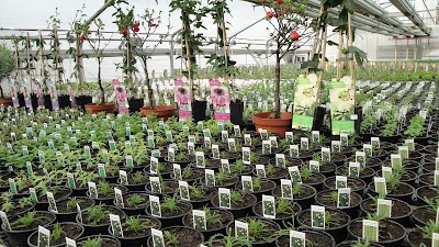 Photos of Blumen Mayer