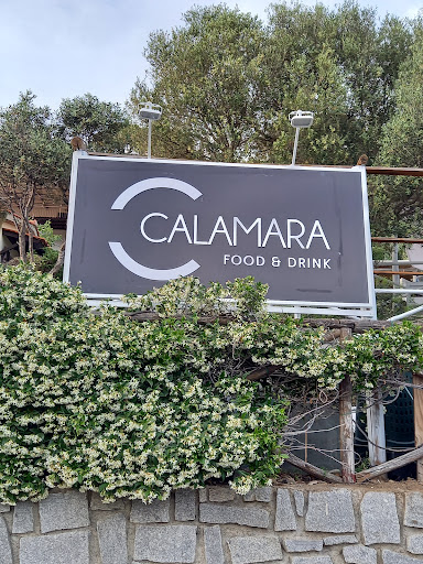 Calamara - Visual
