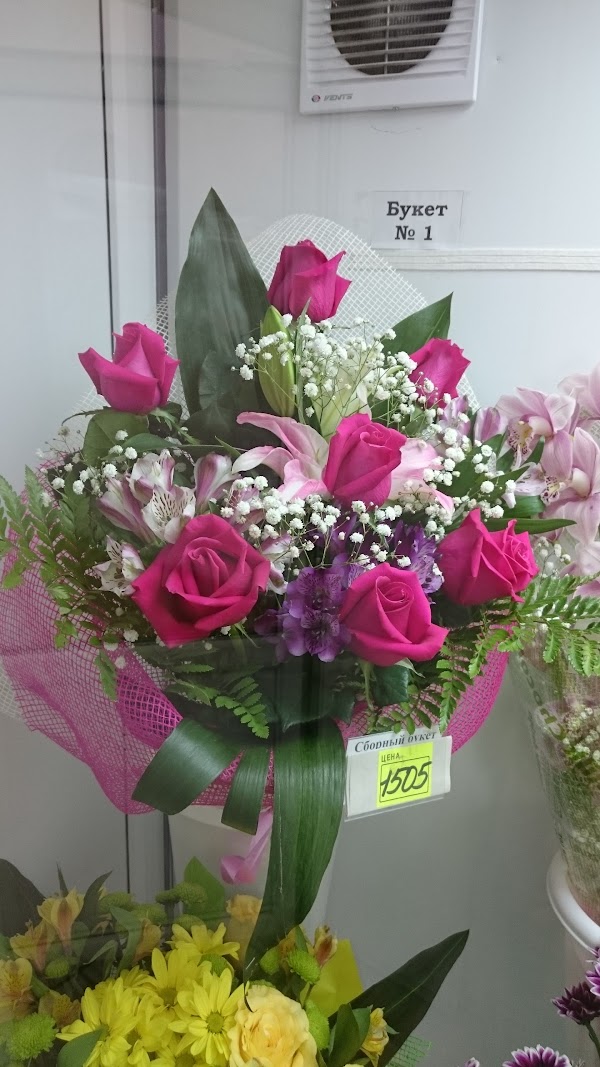 Цветы стерлитамак лима рб каталог цены