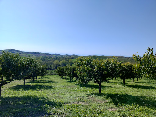 Cascina Moncucchetto - Thumbnail