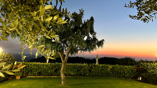 Trattoria Tre Camini - Thumbnail