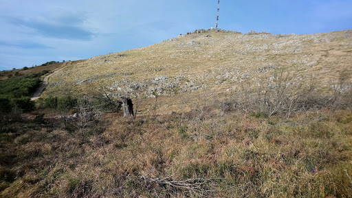 Zona de pic-nic, Pico Candiano - Thumbnail