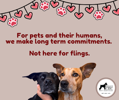 Shaggy Chic Pet Services