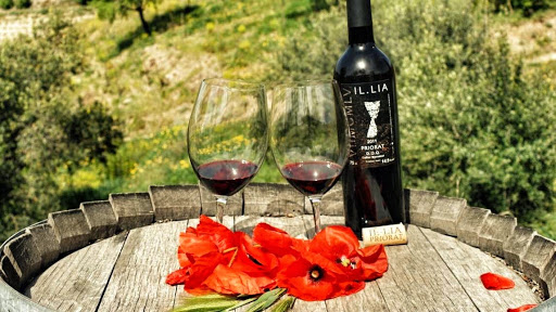 Devinssi Winery - Thumbnail