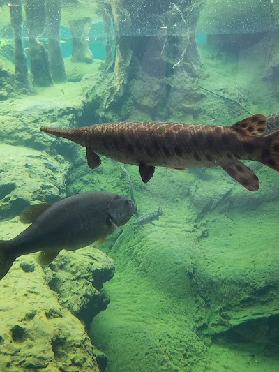 Flint RiverQuarium