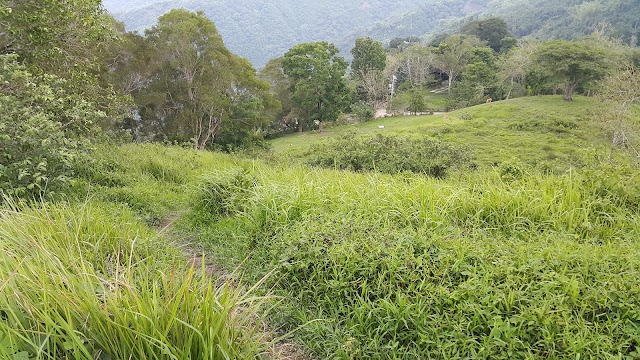 Tops Lookout
