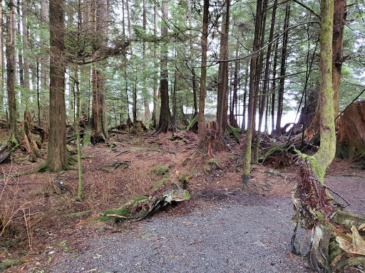Halibut Point Recreation Site - Thumbnail