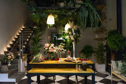 Tendencias Naturales Studio