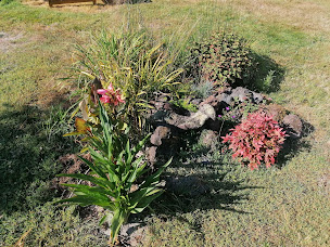 Photo n°4 de Les Jardins D'helya à Bort-l'Étang (Jardinier)