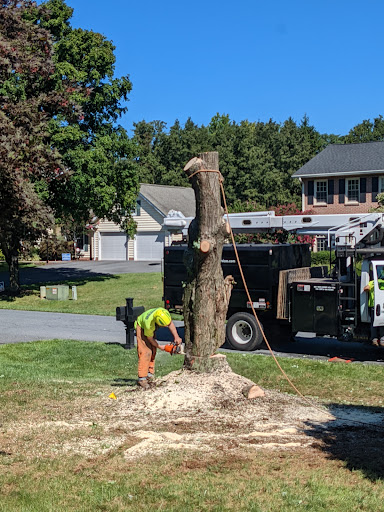 Baker Tree Services - Visual