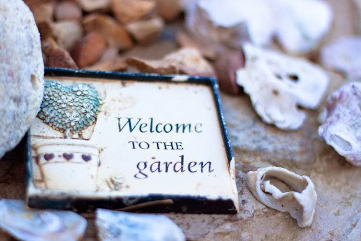 Wilderness Beach House Backpackers Lodge by null