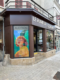 Photo n°11 de LE RUMEUR OPTICIEN à Nogent-sur-Seine (Audiologiste)